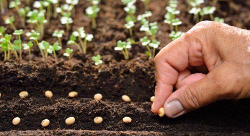 Dealing with Common Issues