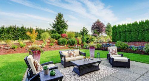 Decorative Pillows and Cushions