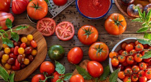 Disease and Pest Control