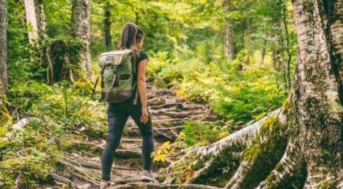 Fowey and Polruan Circular