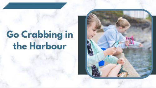 Go Crabbing in the Harbour