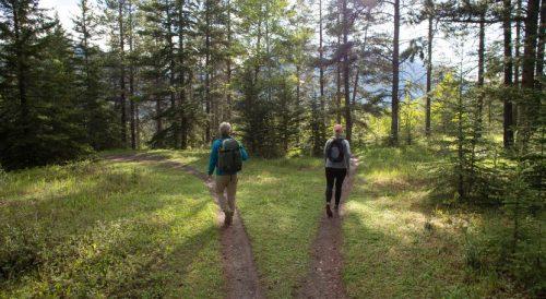 Goss Moor Trail: Distance