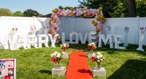 Hanging Planters and Vertical Gardens