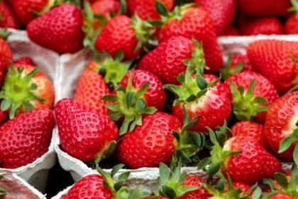 How to Grow Strawberries