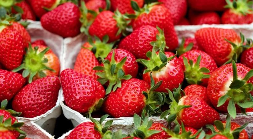 How to Grow Strawberries