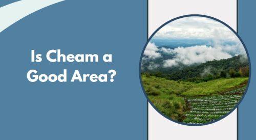 Is Cheam a Good Area?