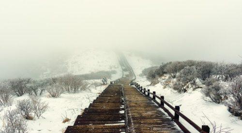 Kynance Cove from Lizard Green Walk