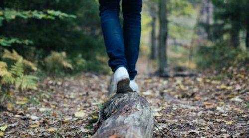 Lizard Point Cliffs and Coverack Walk