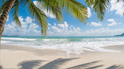 Palomino, La Guajira