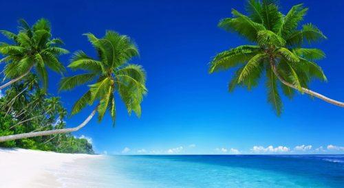 Plage de Tahiti, Carantec