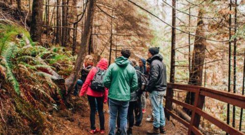 Port Eliot Estate Walk