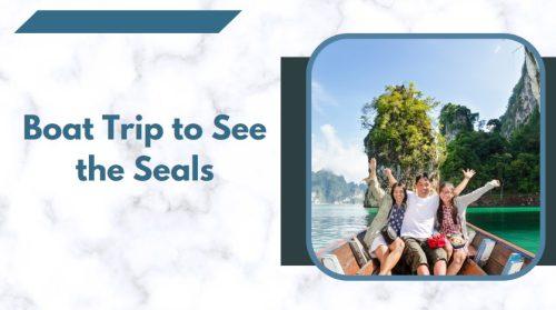 Take a Boat Trip to See the Seals