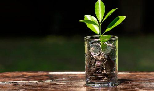 The Growth Potential