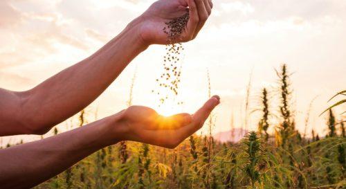 Tools and Supplies Needed