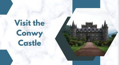 Visit the Conwy Castle