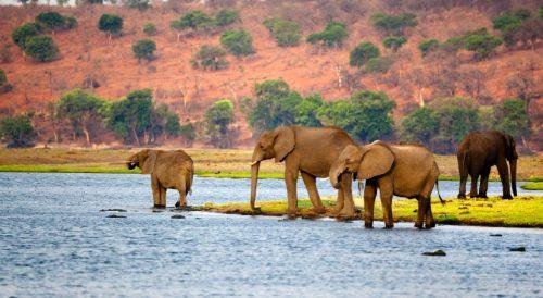 Botswana - best african countries to visit