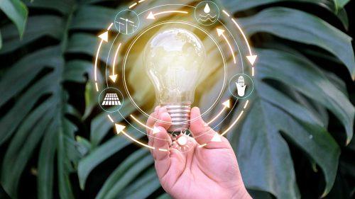 Lighting the Way to Sustainability