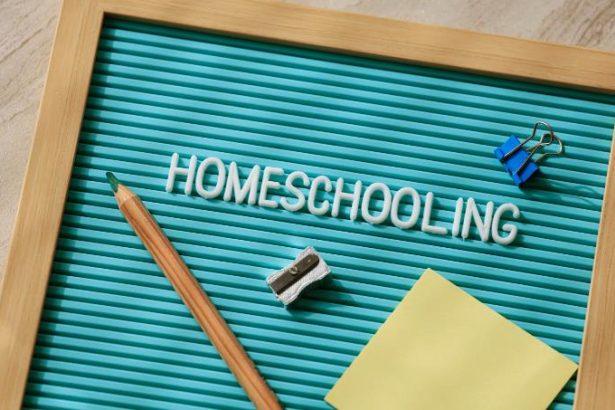 Organising Extracurricular Activities for Homeschool Groups