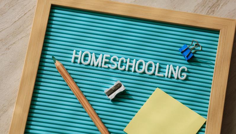 Organising Extracurricular Activities for Homeschool Groups