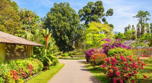 The Birmingham Botanical Gardens