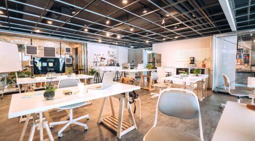 The Boutique Workplace Company