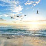 Top 10 Best Beaches in Algarve