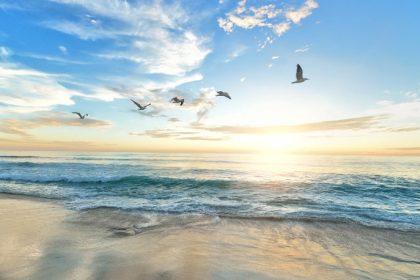 Top 10 Best Beaches in Algarve