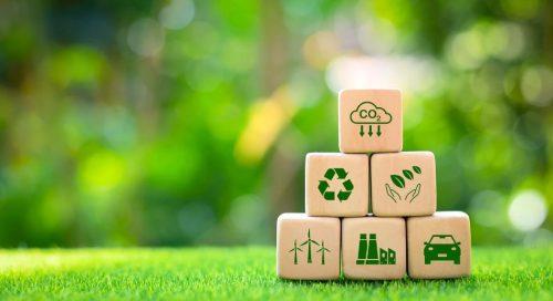 The Imperative Of Sustainability In Business