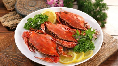 Hatch on the Harbour