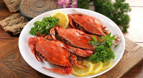 The White Horse Cafe