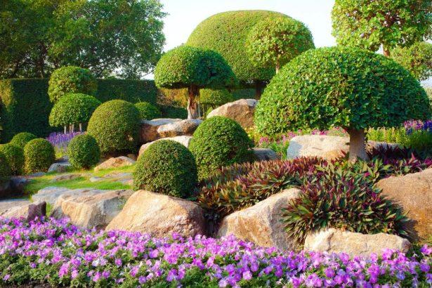 How Do Shrubs, Trees, And Bushes Differ
