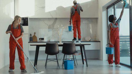 Get the Cleaning and Repairs Sorted