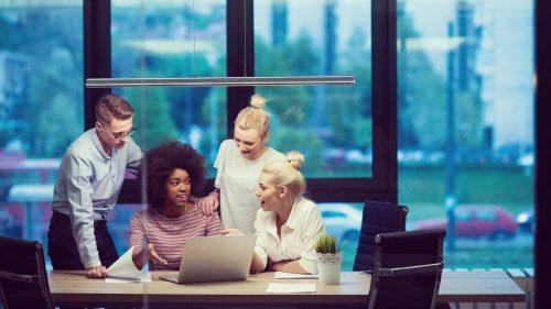 Government Support and Incentives