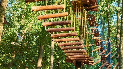 How Much Do Go Ape Leeds Castle Tickets Cost