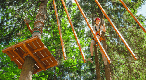 How Much Does Go Ape Delamere Cost