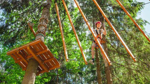 How Much Does Go Ape Tilgate Park Cost