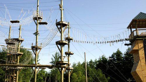 How to Book Tickets for Go Ape Dalby Forest