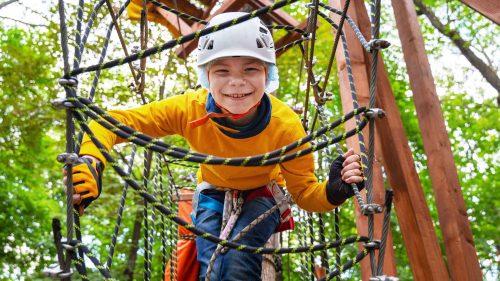How to Book Your Go Ape Delamere Experience