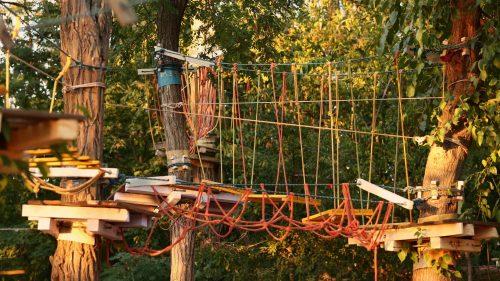 How to Get to Go Ape Alexandra Palace