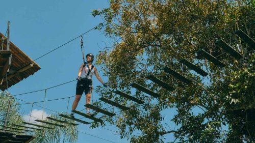 How to Reach Go Ape Delamere