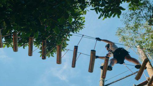 Tips for Visiting Go Ape Alexandra Palace