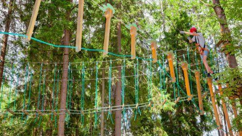 What Activities Can You Do at Go Ape Tilgate Park