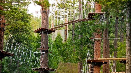What Activities Can You Enjoy at Go Ape Alexandra Palace