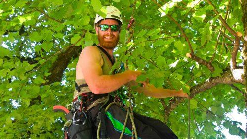 What Activities Can You Experience at Go Ape Coventry