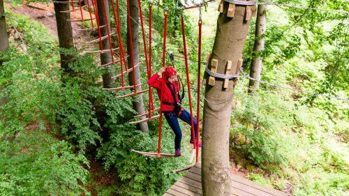 What Adventure Activities Can You Experience at Go Ape Dalby Forest
