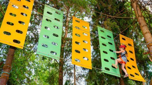 What Are the Opening Times for Go Ape Alexandra Palace