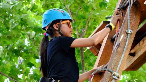 What Else Can You Do at Alexandra Palace
