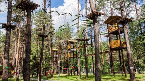 What Else Can You Do at Tilgate Park After Go Ape