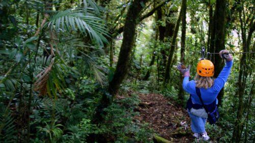 What Other Attractions Can You Explore Near Go Ape Leeds Castle