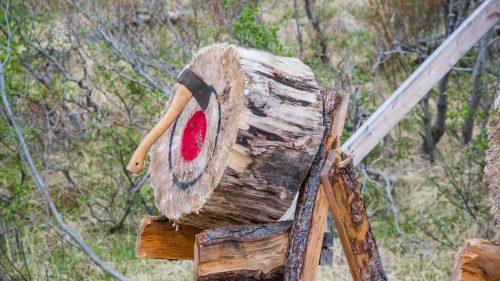 What Unique Experiences Can You Try at Go Ape